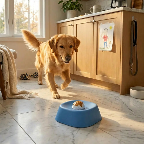 Lick & Roll Bowl