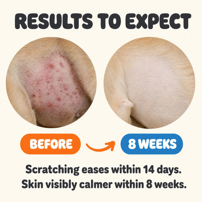 Yeast & Itch Defense