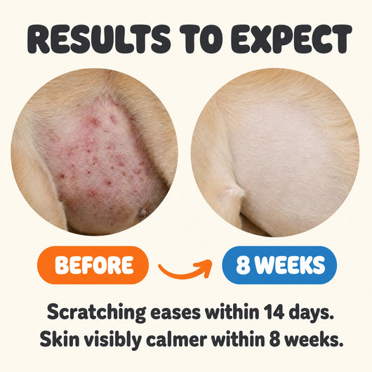 Yeast & Itch Defense